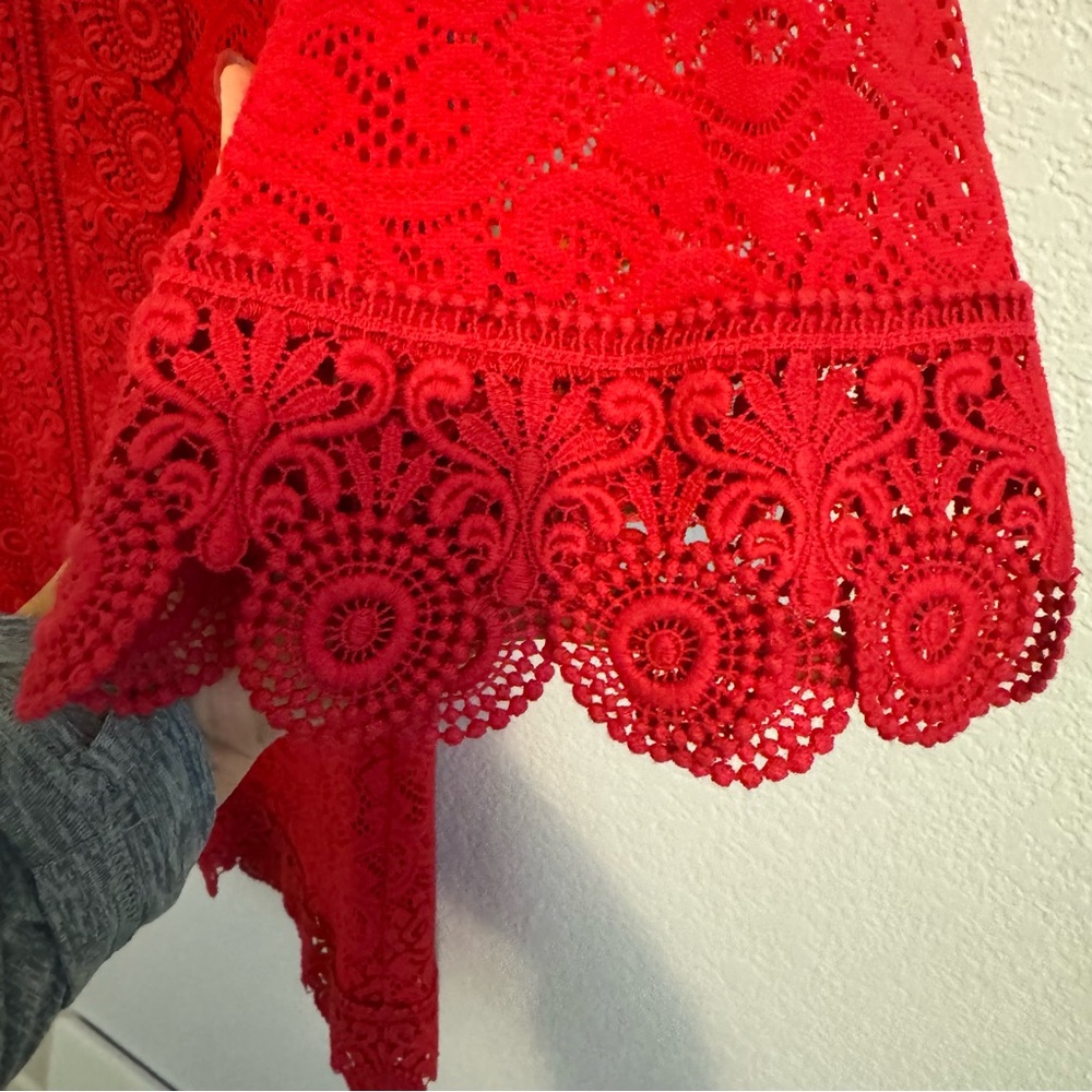 Laundry by Shelli Segal 3/4 Sleeve Red Crochet Dress. Size 4. - Picture 5 of 14